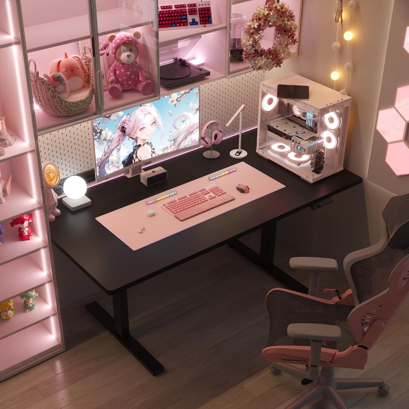 FLEXISPOT Electric Standing De - огляд і ціна Desk Setup Dual Monitor