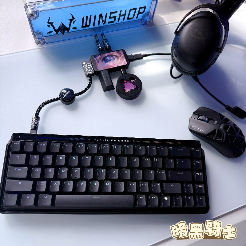 WINSHOP Esports HUB Dual-In 4- - огляд і ціна Desk Setup Accessories Aesthetic