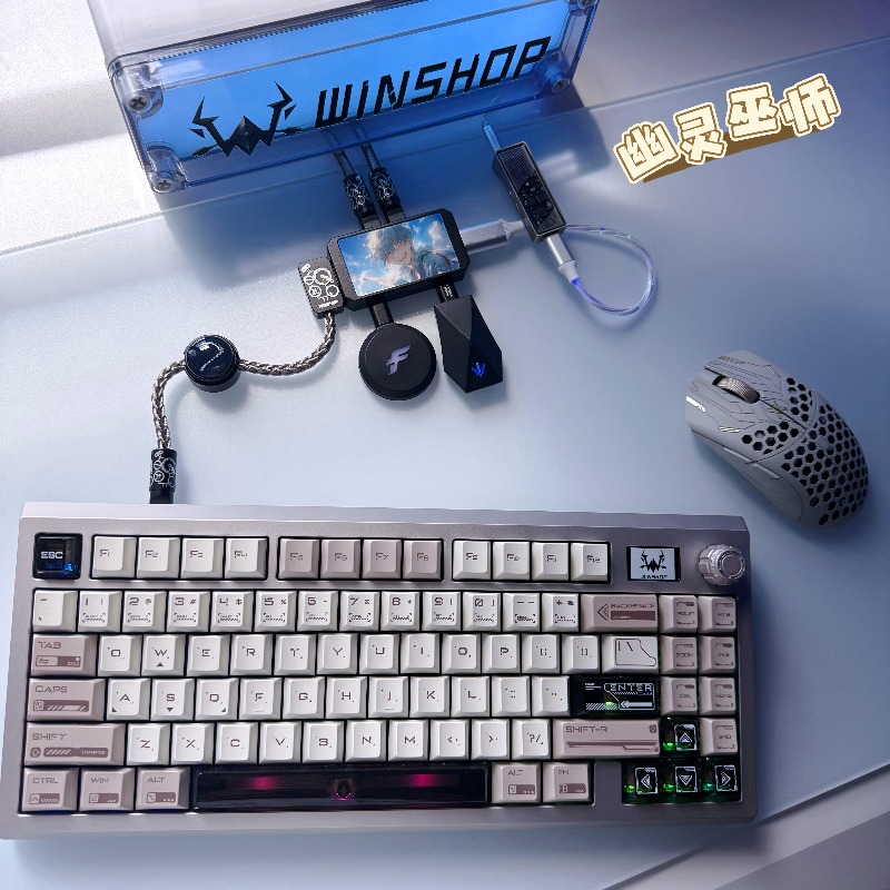 WINSHOP Esports HUB Dual-In 4- - огляд і ціна Desk Setup Accessories Aesthetic